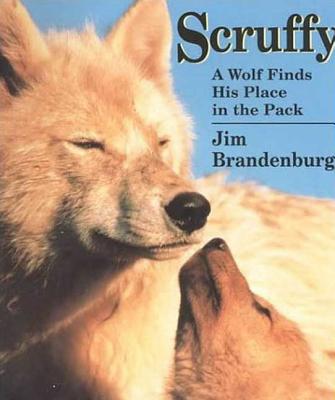 Scruffy: A Wolf Finds His Place in the Pack - Brandenburg, Jim, and Guernsey, Joann B (Editor)