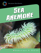 Sea Anemone