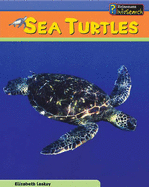 Sea Creatures: Sea Turtles Cased