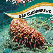 Sea Cucumbers: Faceless, Spineless, and Brainless Ocean Animals