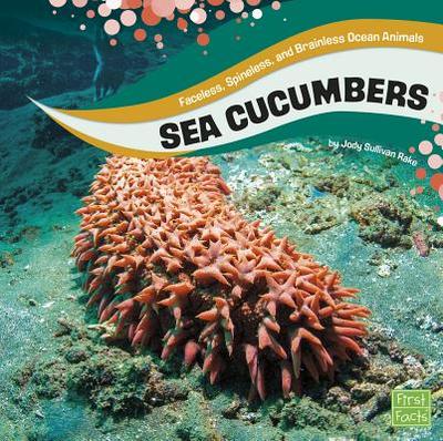 Sea Cucumbers - Rake, Jody S