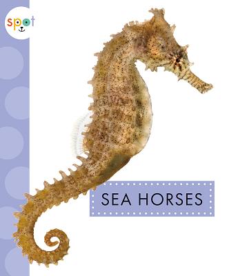 Sea Horses - Schuh, Mari C