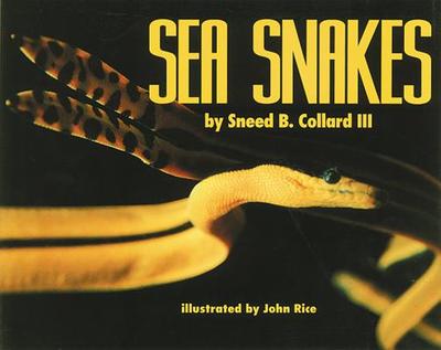 Sea Snakes - Collard, Sneed B