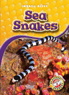 Sea Snakes