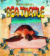 Sea Turtle