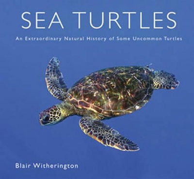Sea Turtles: An Extraordinary Natural History of Some Uncommon Turtles - Witherington, Blair