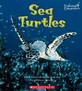 Sea Turtles (Undersea Encounters)