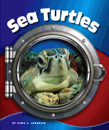 Sea Turtles