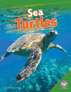 Sea Turtles