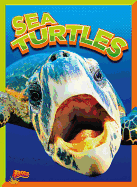 Sea Turtles