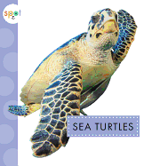 Sea Turtles