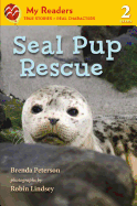 Seal Pup Rescue