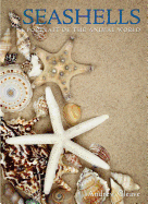 Seashells: A Portrait of the Animal World