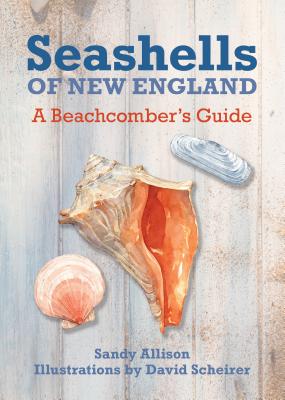 Seashells of New England: A Beachcomber's Guide - Sept, J Duane, and Scheirer, David, and Allison, Sandy
