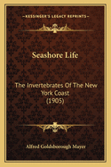 Seashore Life: The Invertebrates of the New York Coast (1905)