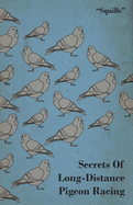 Secrets of Long-Distance Pigeon Racing