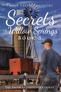 Secrets of Willow Springs - Book 3