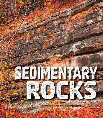 Sedimentary Rocks - Sawyer, Ava