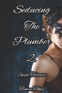 Seducing the Plumber 2: Sweet Torture: A Short Erotic Story (Straight)