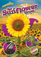 See a Sunflower Grow