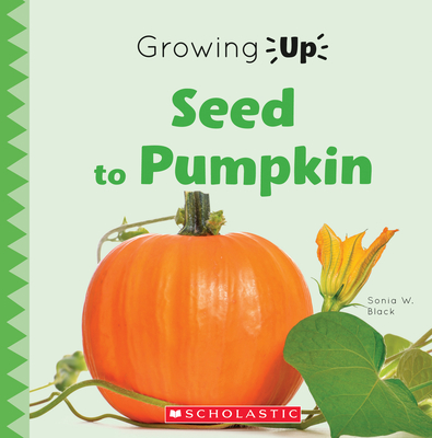 Seed to Pumpkin (Growing Up) - Black, Sonia W
