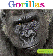 Seedlings: Gorillas