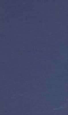 Seeing Islam as Others Saw It: A Survey and Evaluation of Christian, Jewish, and Zoroastrian Writings on Early Islam - Hoyland, Robert G