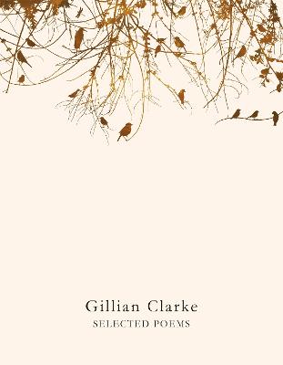 Selected Poems - Clarke, Gillian