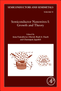 Semiconductor Nanowires I: Growth and Theory: Volume 93