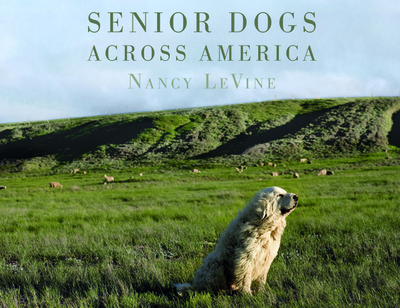 Senior Dogs Across America: Portraits of Man's Best Old Friend - Levine, Nancy