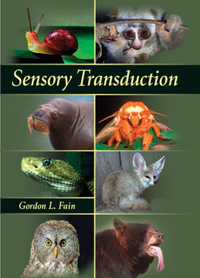 Sensory Transduction - Fain, Gordon L