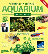 Setting Up a Tropical Aquarium Week by Week