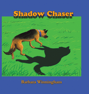 Shadow Chaser