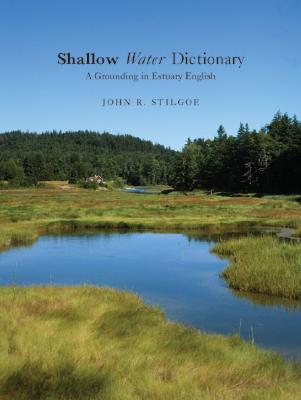 Shallow Water Dictionary - Stilgoe, John