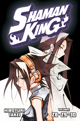 Shaman King Omnibus 10 (Vol. 28-30) - Takei, Hiroyuki