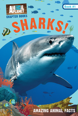 Sharks! (Animal Planet Chapter Books #1) - Animal Planet, and Stein, Lori