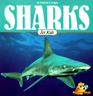 Sharks for Kids