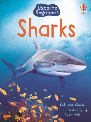 Sharks - Clarke, Catriona