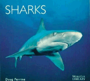 Sharks - Perrine, Doug