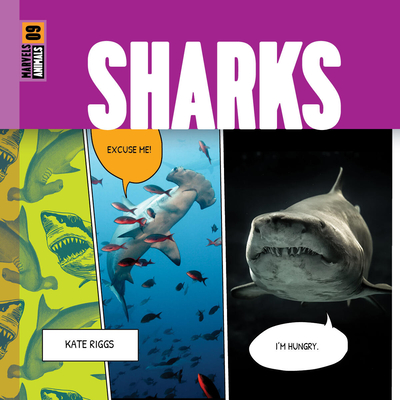 Sharks - Riggs, Kate