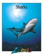 Sharks - Wexo, John B