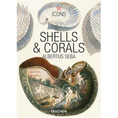 Shells & Corals - Seba, Albertus