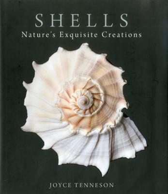 Shells: Nature's Exquisite Creations - Tenneson, Joyce