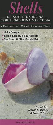 Shells of North Carolina, South Carolina & Georgia: A Beachcomber's Guide to the Atlantic Coast - Murhpy, Jeanne L, and Lane, Brian W