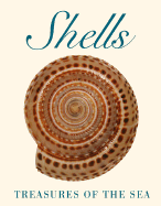 Shells - Hill, Leonard