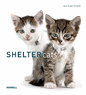 Shelter Cats