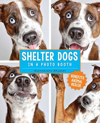 Shelter Dogs in a Photo Booth - Shuster, Guinnevere