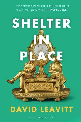 Shelter in Place - Leavitt, David