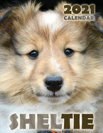 Sheltie 2021 Calendar