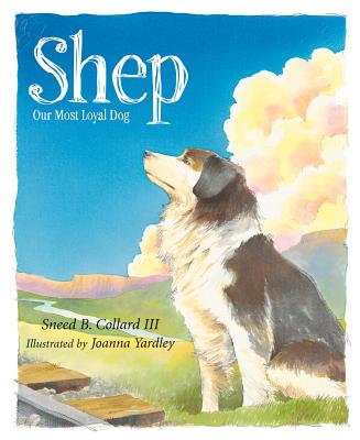 Shep: Our Most Loyal Dog - Collard, Sneed B